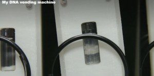基因自動販賣機-DNA