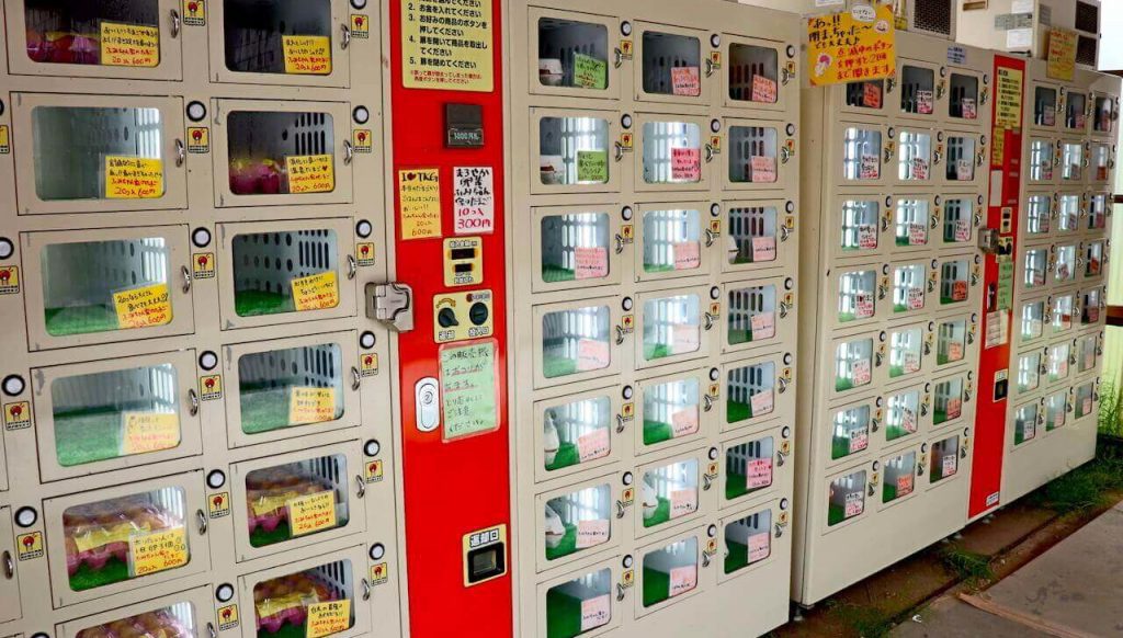 Egg Vending Machine