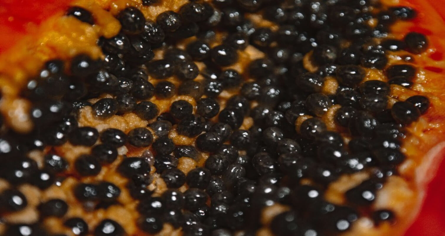 Caviar Vending Machine